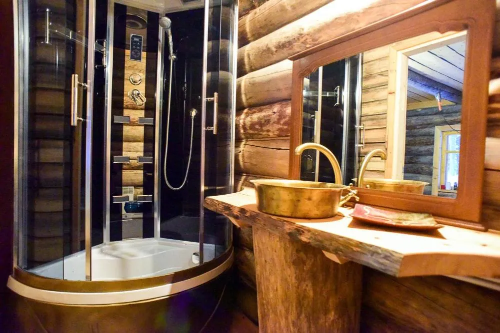 У Лыжника фото 4