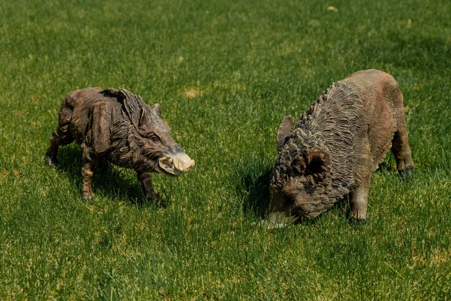 Уржинский кордон фото 2