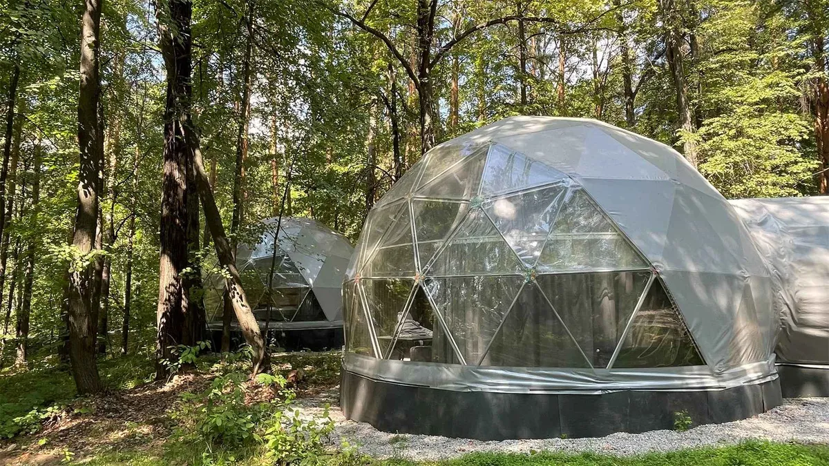 Геокупол лес