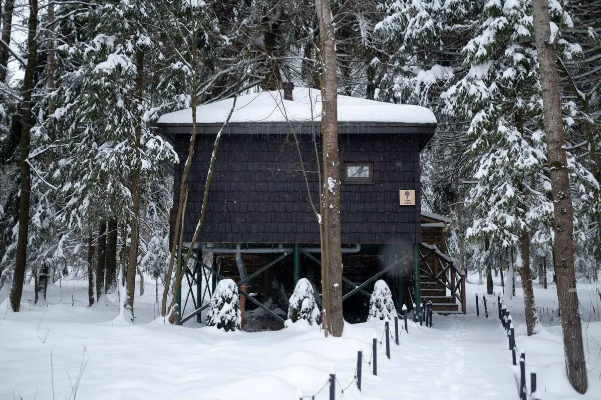 Домик Ясень