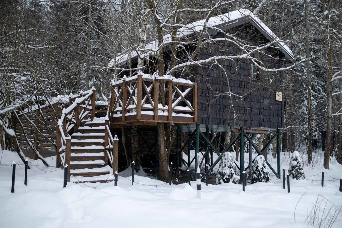 Домик Шалфей