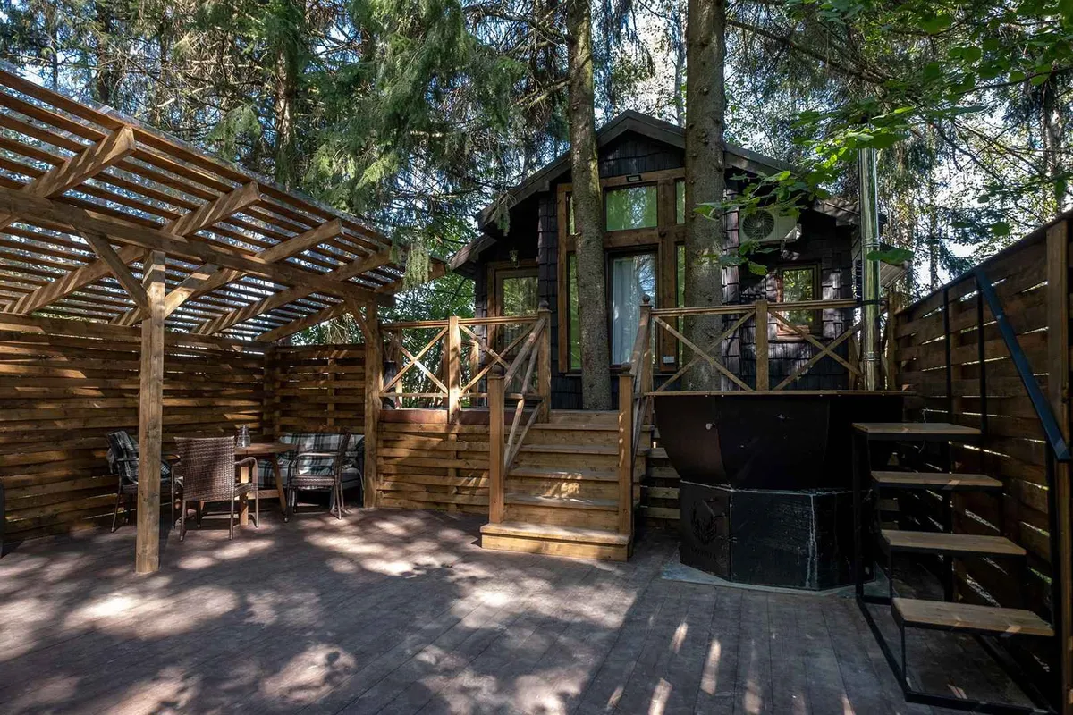 В кронах фото 3