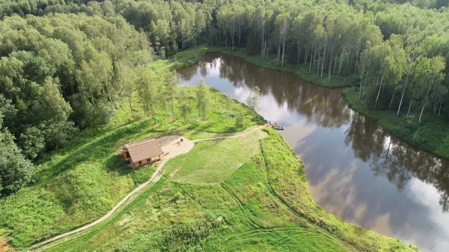 Веселый трутень