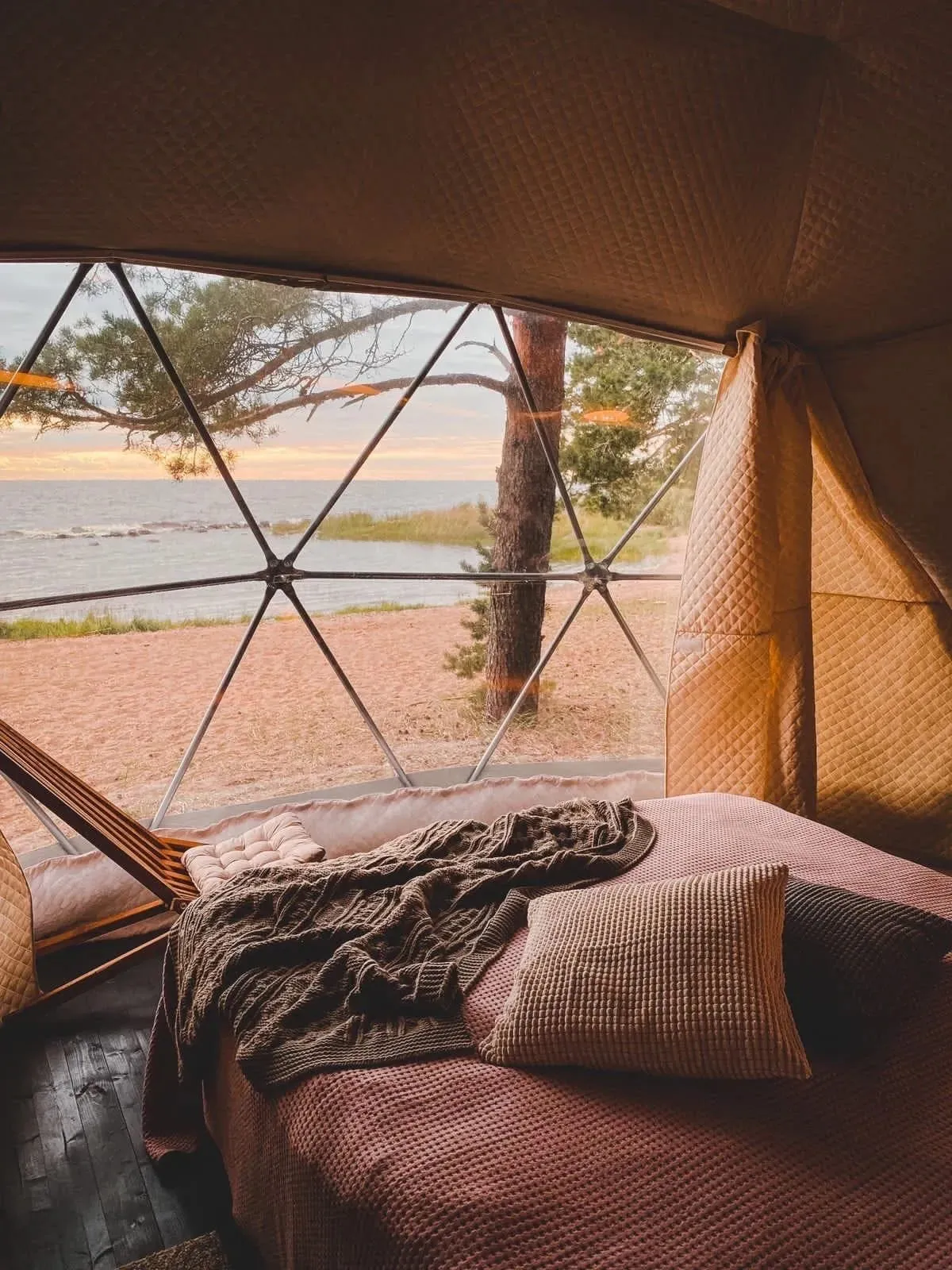 Веззика фото 4