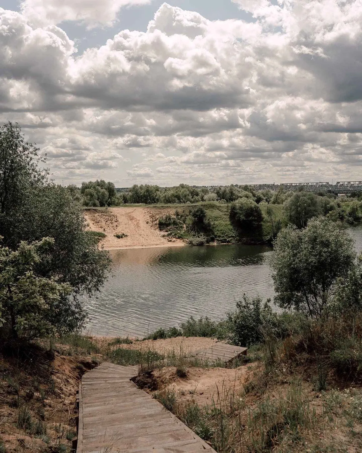 Вили Улей Ока фото 2