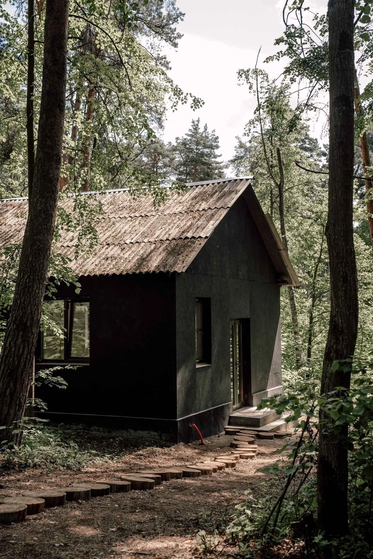 Вили Улей Ока фото 4