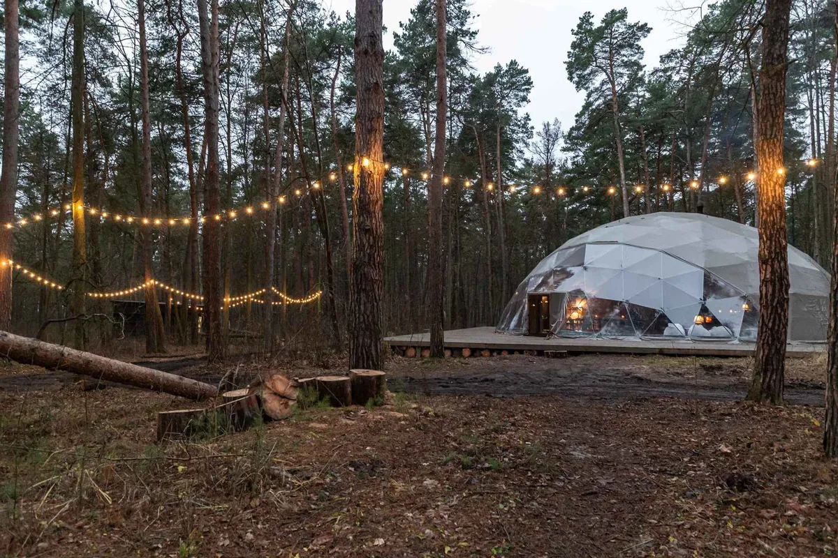 Вили Улей Волга