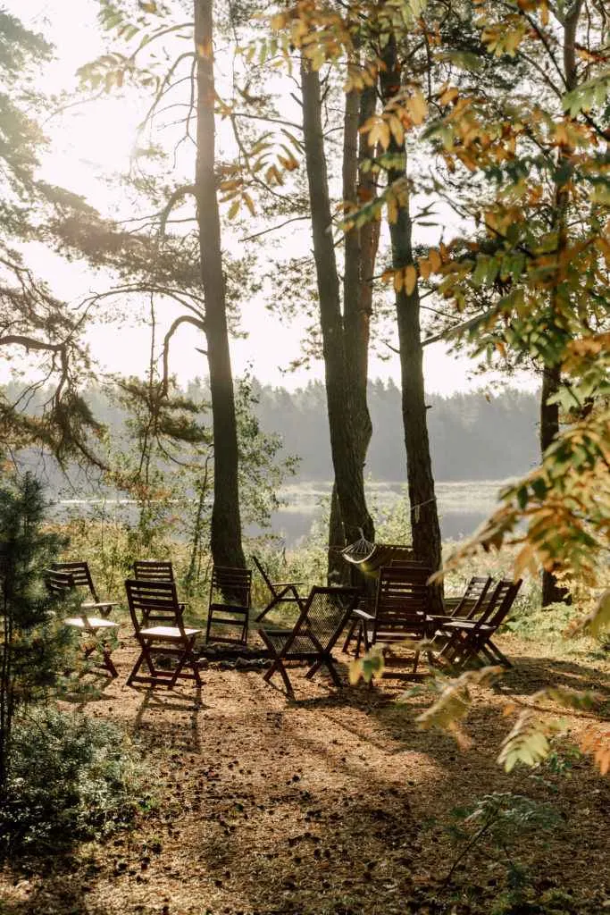 Вили Улей Волга фото 2