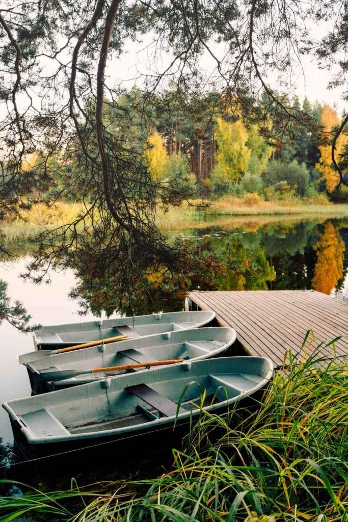 Вили Улей Волга фото 3