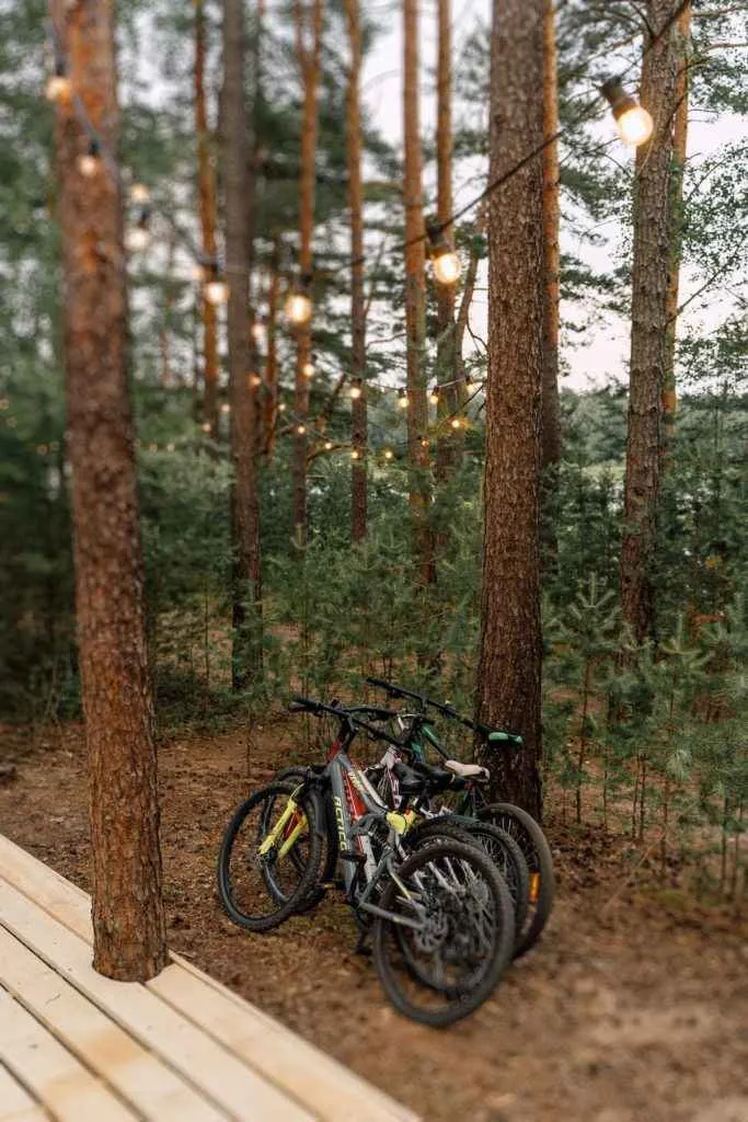 Вили Улей Волга фото 4