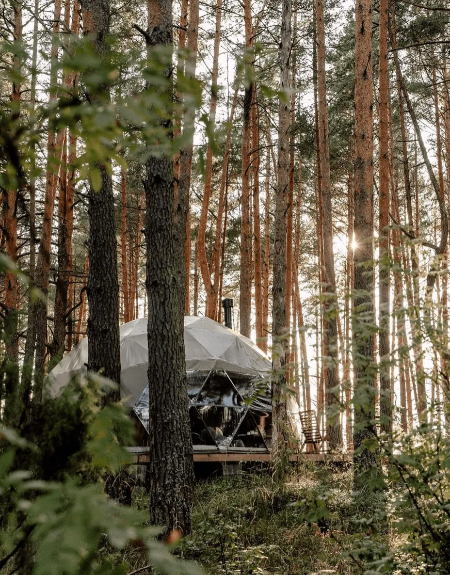 Villy Uley фото 3