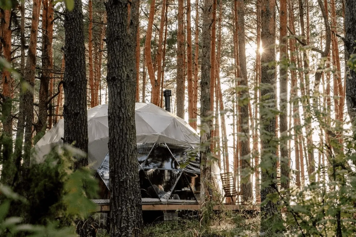 Villy Uley фото 4