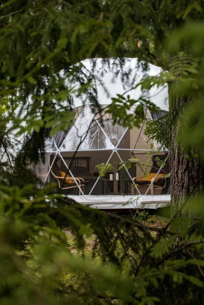 Vuoksa Camp ( Вуокса Кемп )