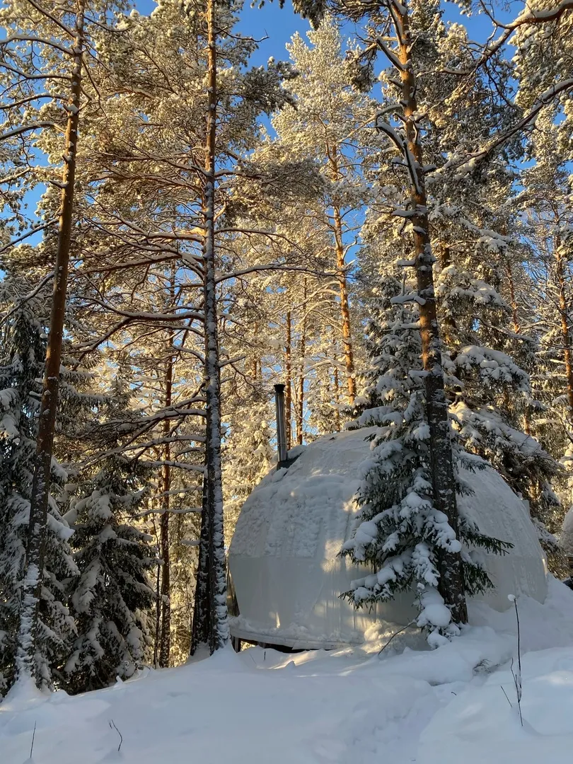 Vuoksa Camp ( Вуокса Кемп ) фото 3
