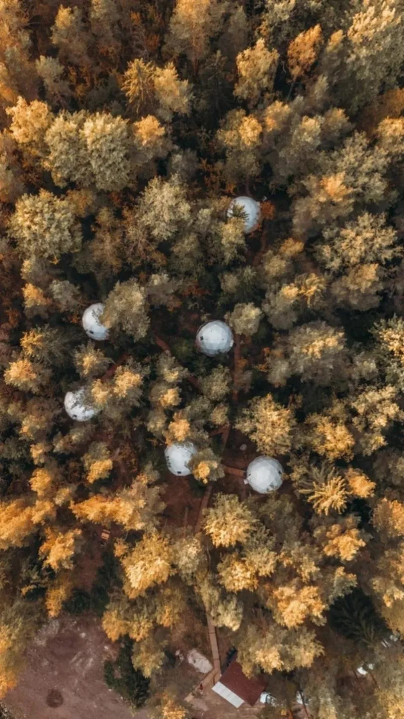 Vuoksa Camp ( Вуокса Кемп ) фото 4