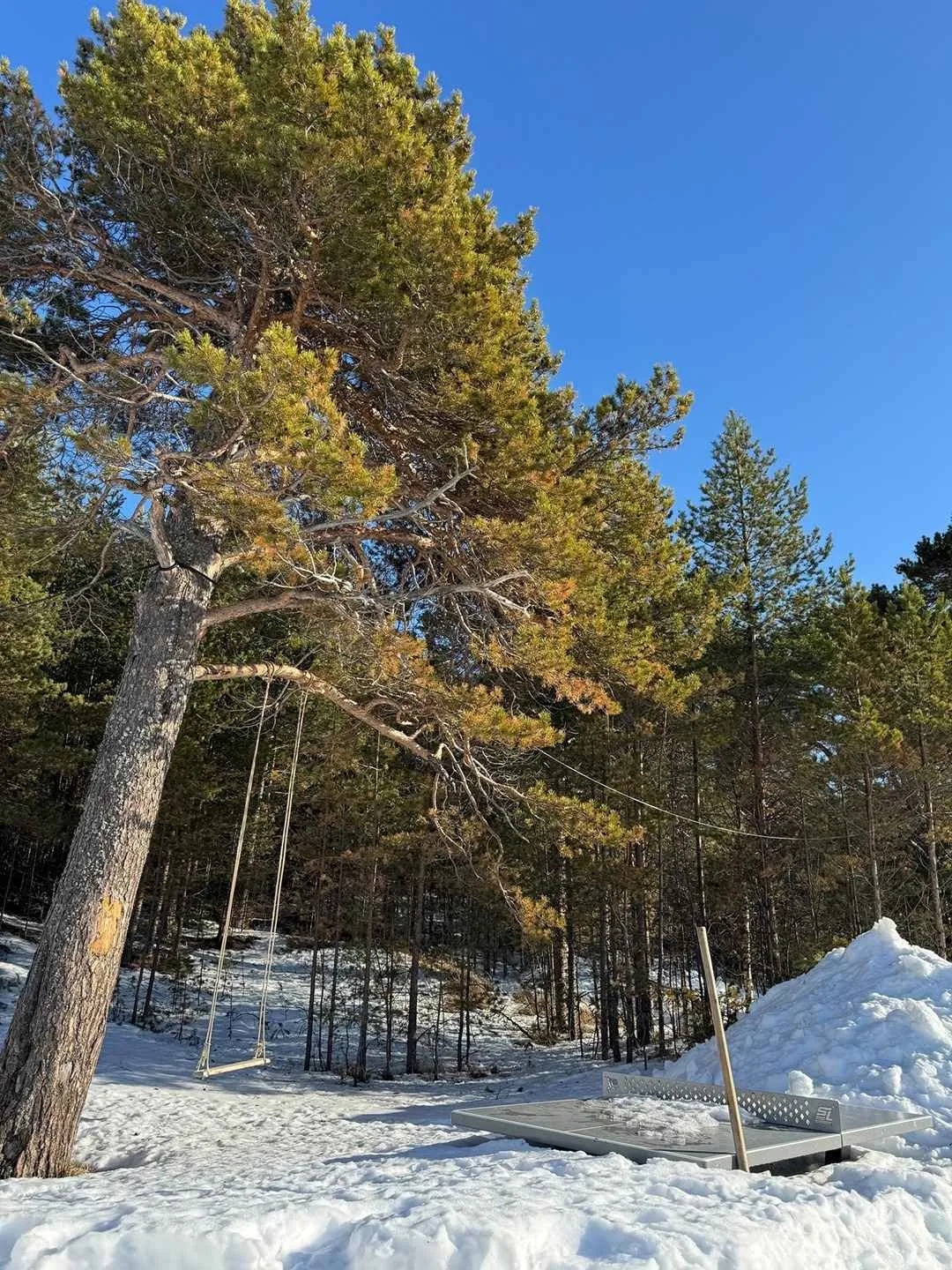 Яндова Губа. Тайники Севера фото 5