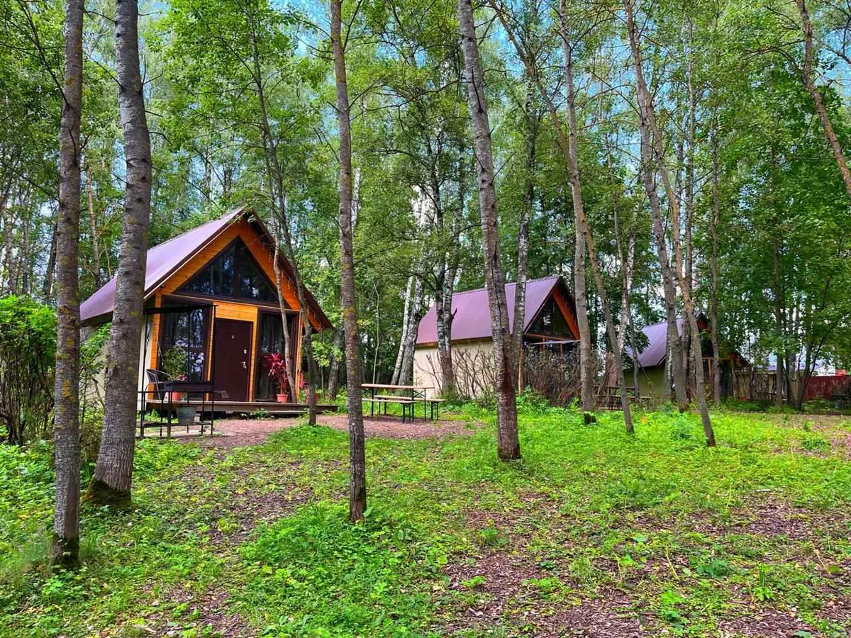 Ёжик в тумане