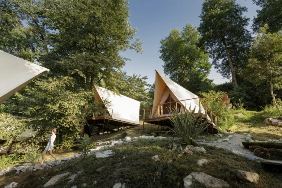 Южный вайб "Древо