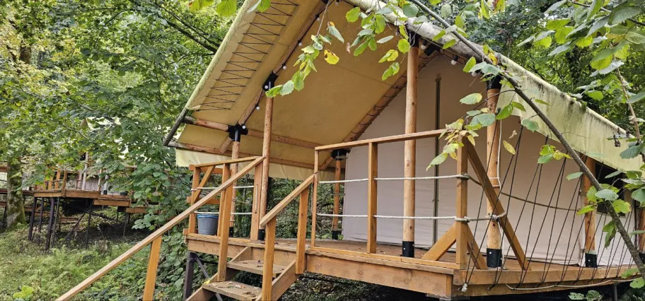 Южный вайб "Древо фото 2