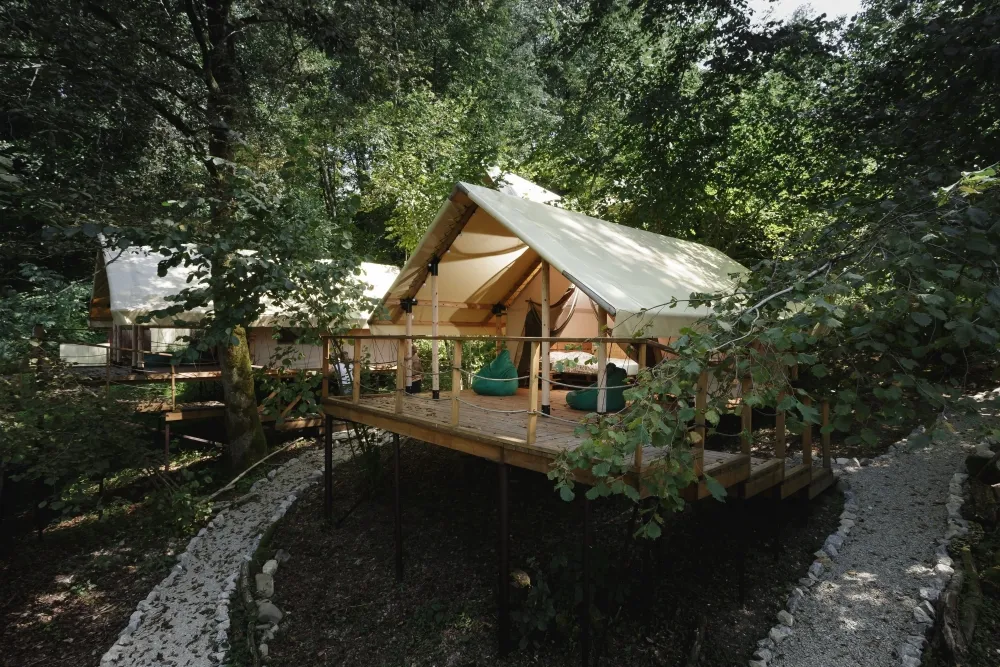 Южный вайб "Древо фото 3