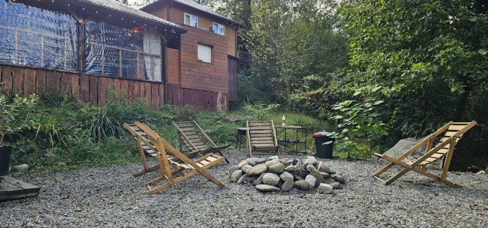 Южный вайб "Древо фото 5