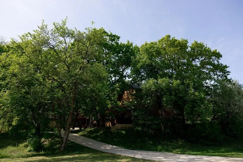 Зачьи Ушки фото 4