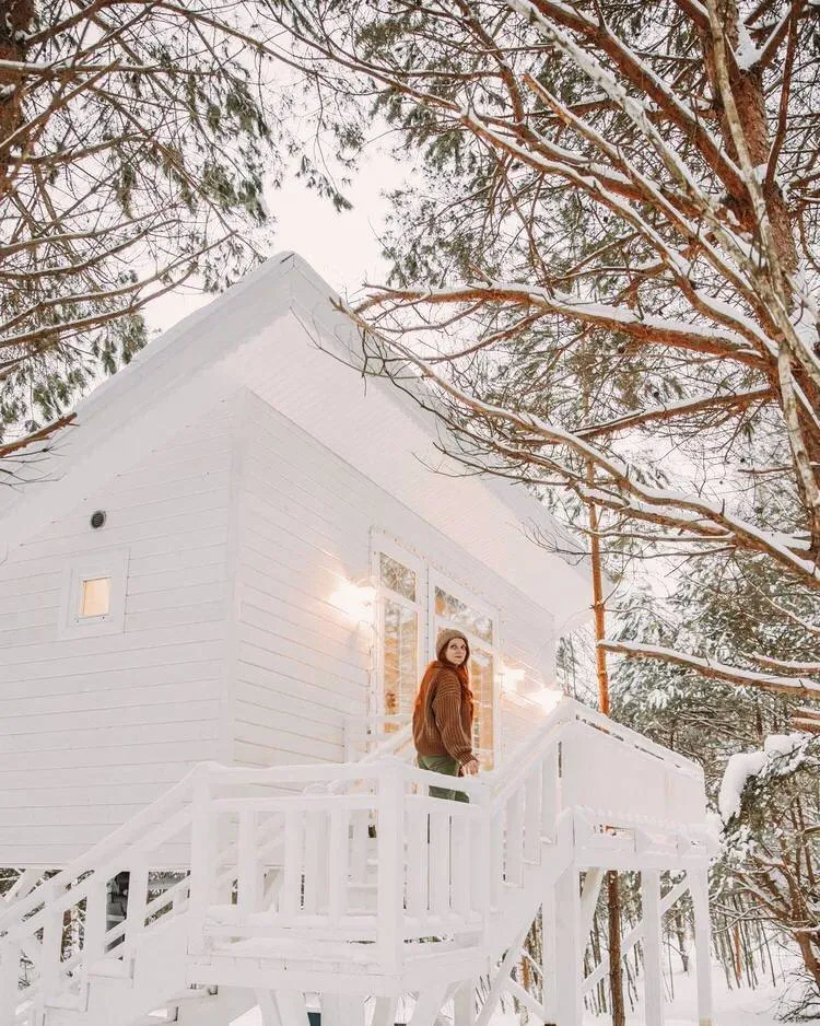 Домик на дереве