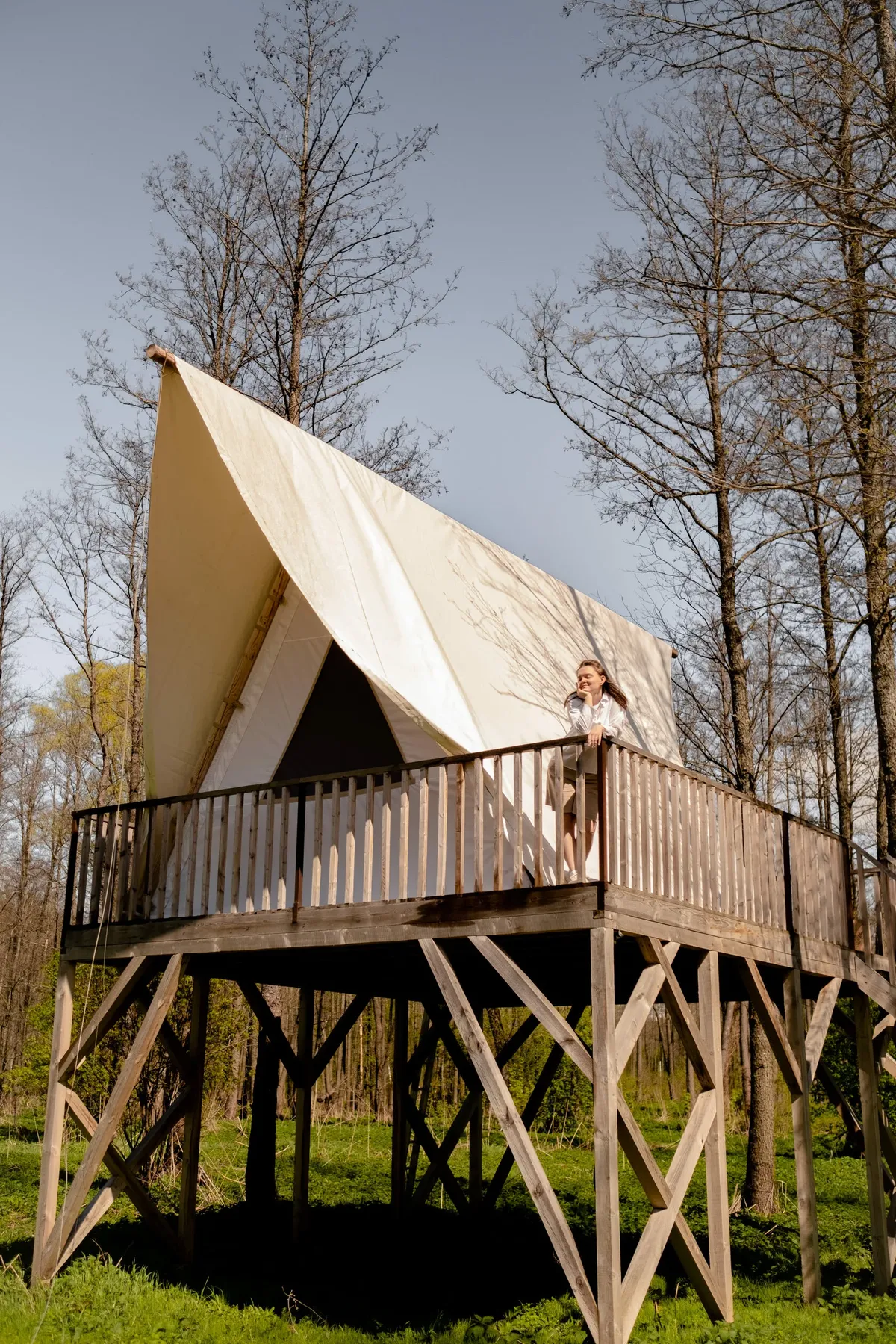 Шатер на дереве