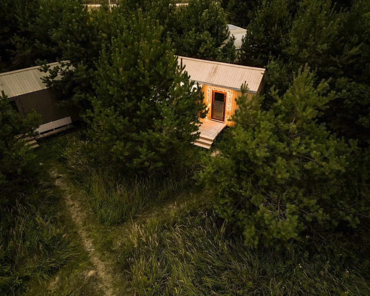 Зеленая тропа