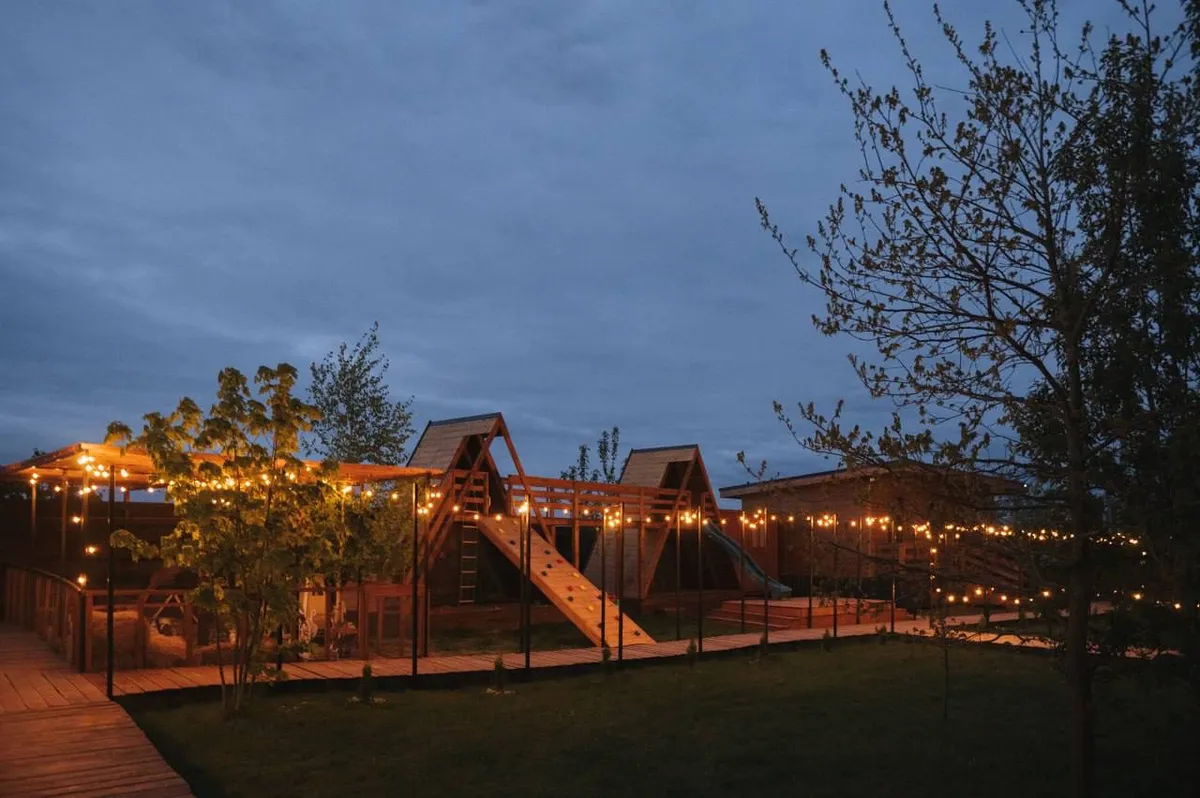 Желуди фото 3