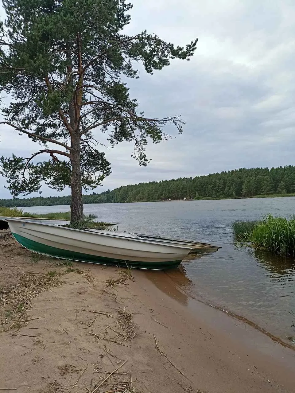 Золотой Берег фото 2