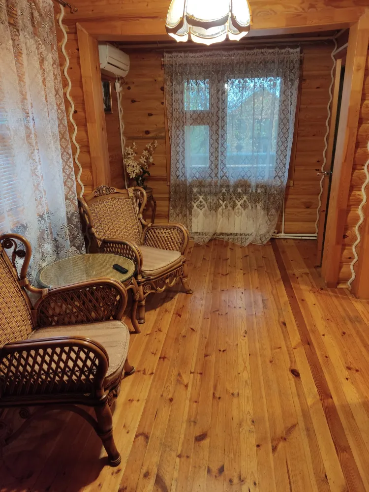 Золотой сазан фото 2