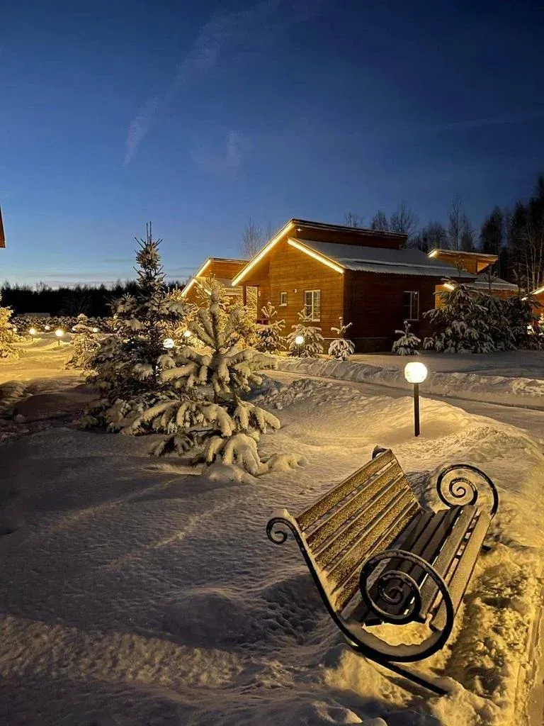 Золотые Караси фото 2