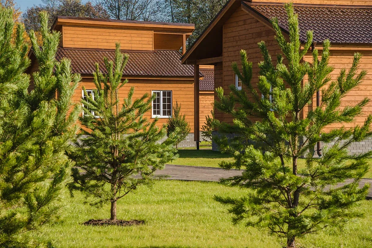 Золотые Караси фото 5