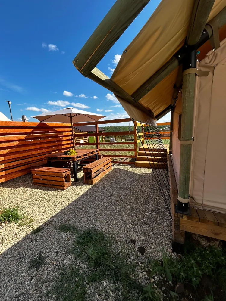 Зоотеррий фото 4