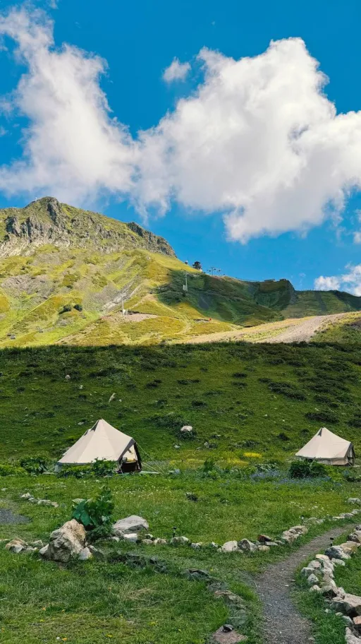 Звездная поляна