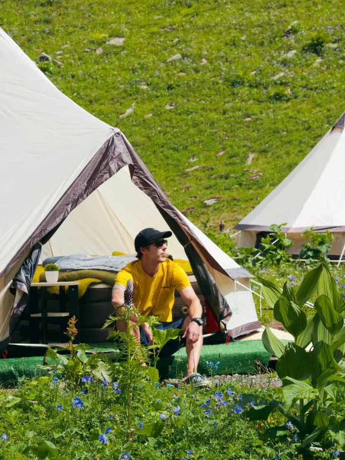 Звездная поляна фото 3