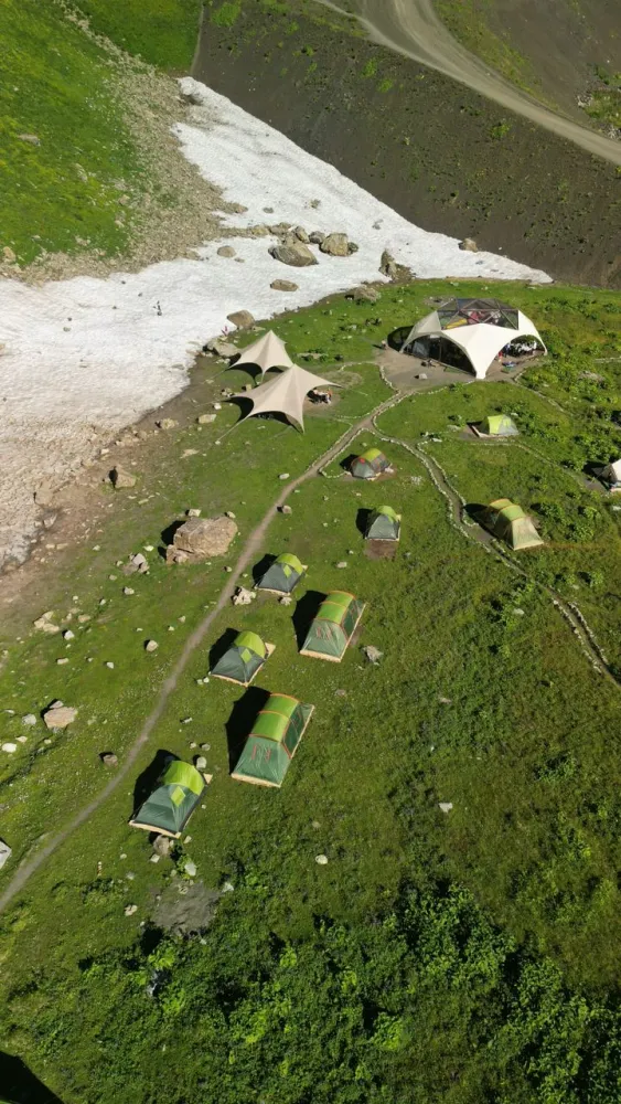 Звездная поляна фото 5